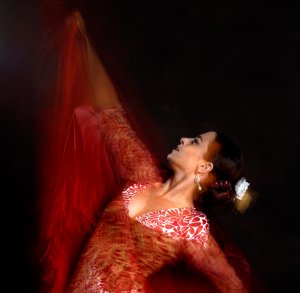 Flamenco dancer - Antina Gutenberger